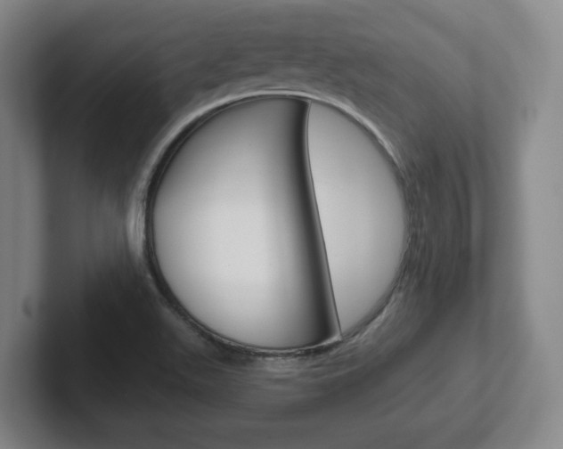 X0000102291511200807250951
