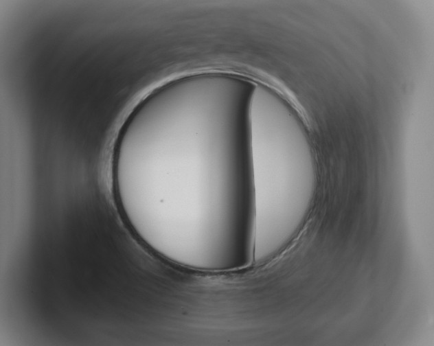 X0000102291512200807250951