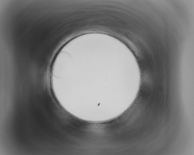 X0000102291514200807250951