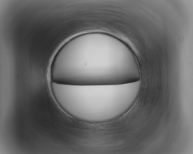 X0000102291516200807250951