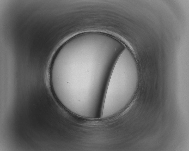 X0000102291517200807250951