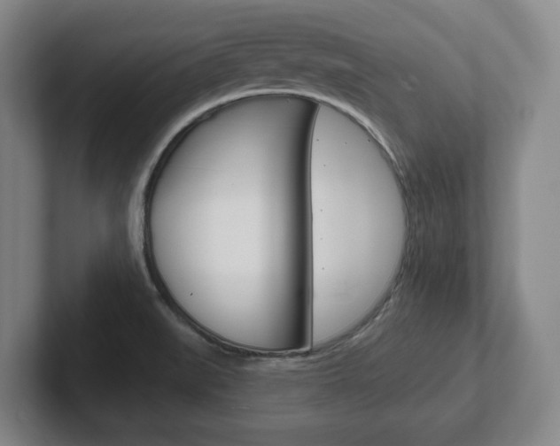 X0000102291519200807250951