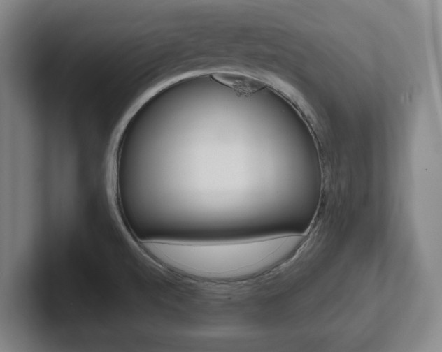 X0000102291520200807250951