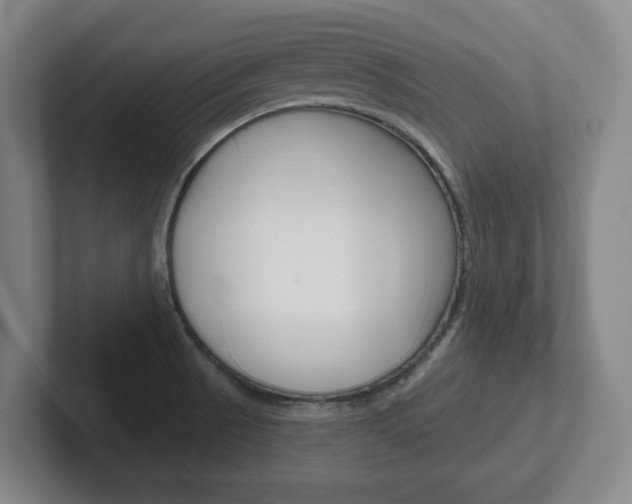 X0000102291521200807250951