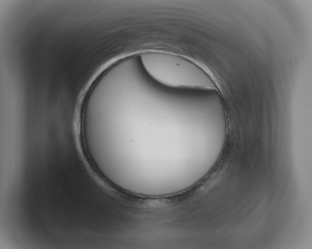 X0000102291523200807250951