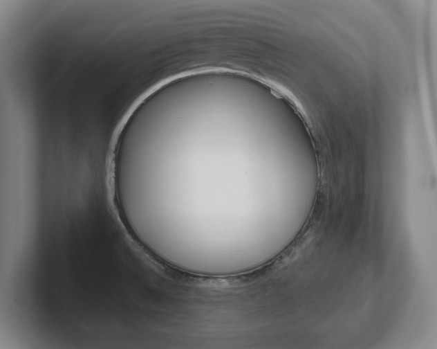 X0000102291524200807250951
