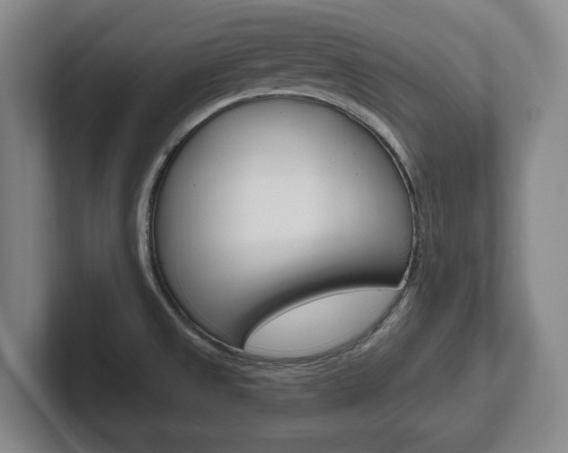 X0000102291525200807250951