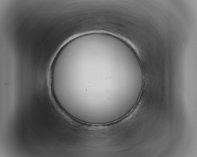 X0000102291526200807250951