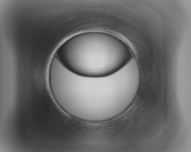 X0000102291528200807250951
