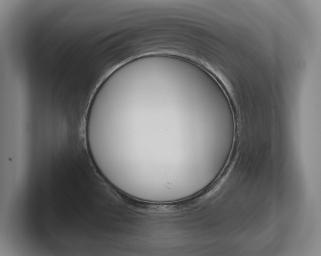 X0000102291529200807250951