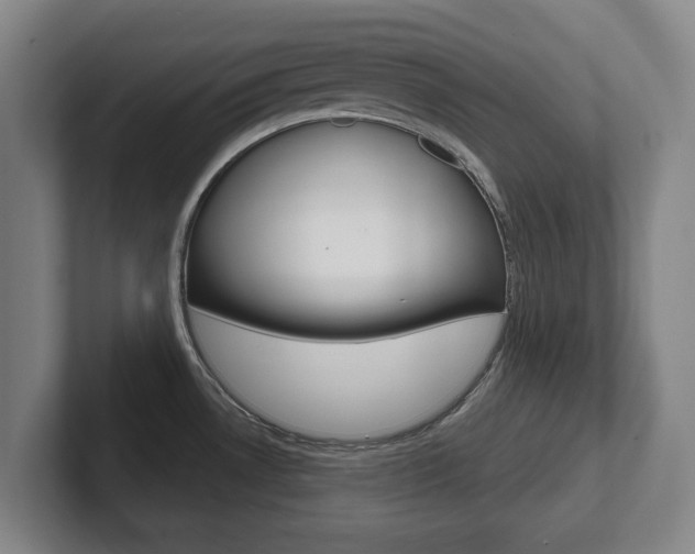 X0000102291530200807250951