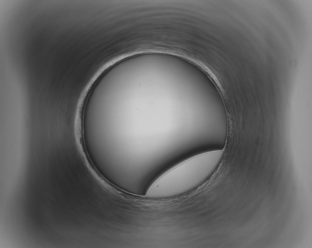 X0000102291531200807250951
