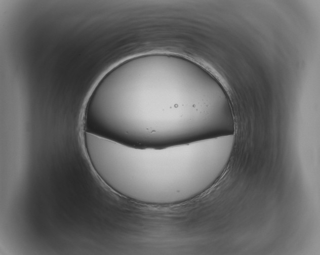 X0000102291532200807250951