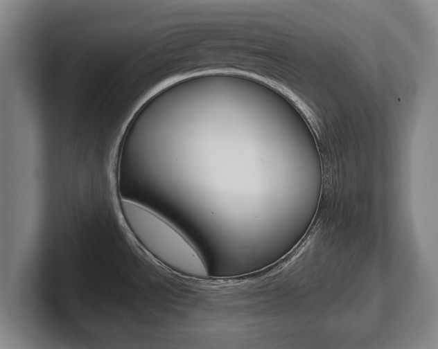 X0000102291534200807250951