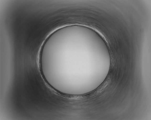 X0000102291535200807250951