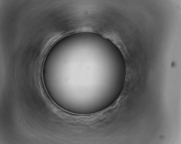 X0000102290001200807251432