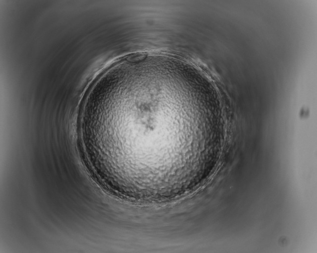 X0000102290002200807251432