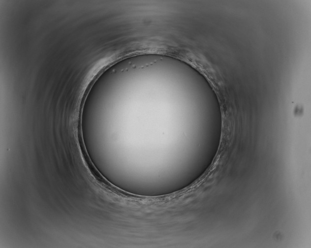 X0000102290003200807251432