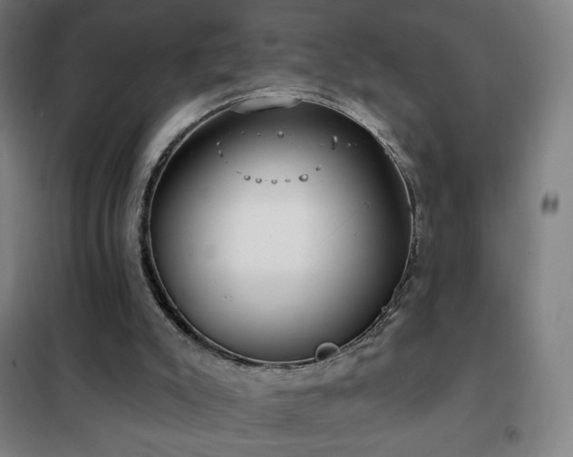 X0000102290007200807251432