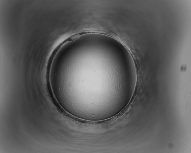 X0000102290008200807251432