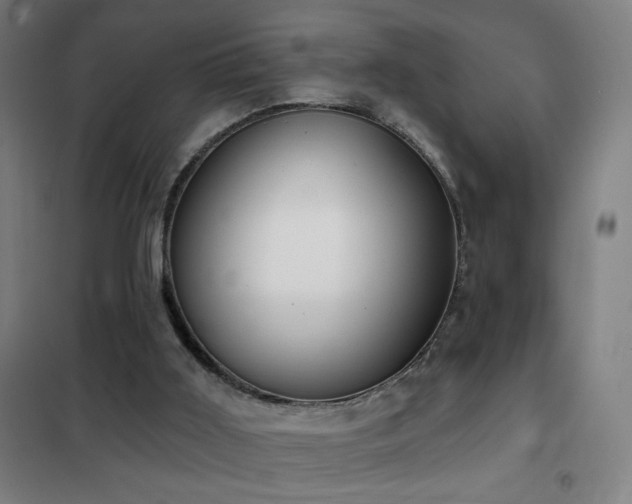 X0000102290011200807251432