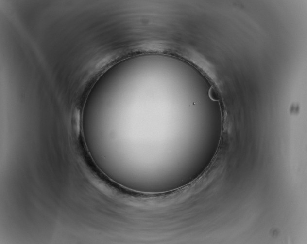 X0000102290013200807251432