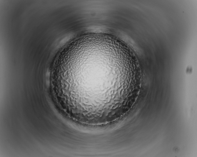X0000102290014200807251432