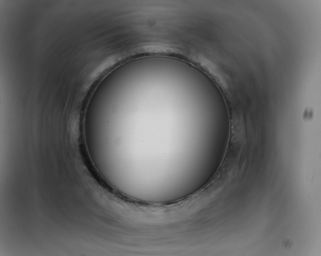 X0000102290015200807251432