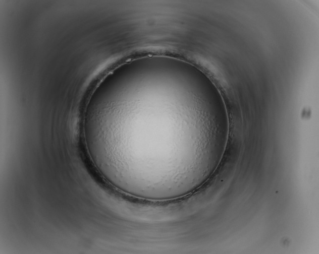 X0000102290016200807251432