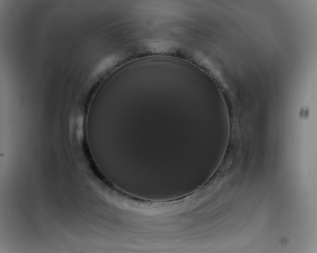 X0000102290019200807251432