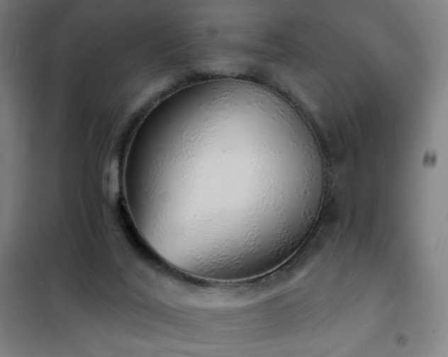X0000102290020200807251432