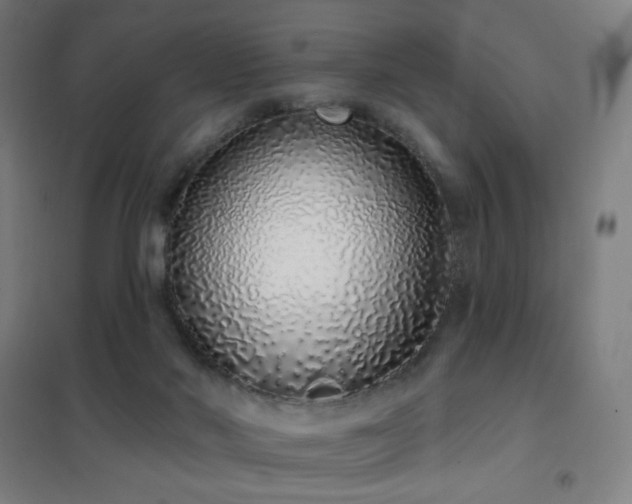 X0000102290022200807251432