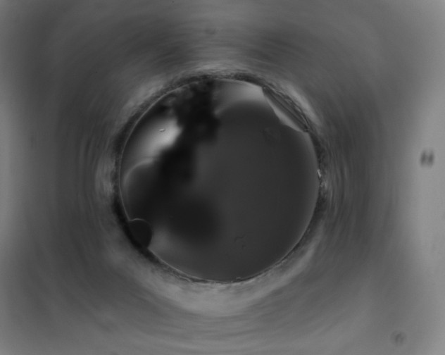 X0000102290023200807251432