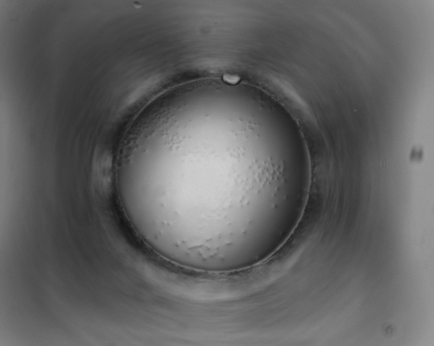 X0000102290024200807251432