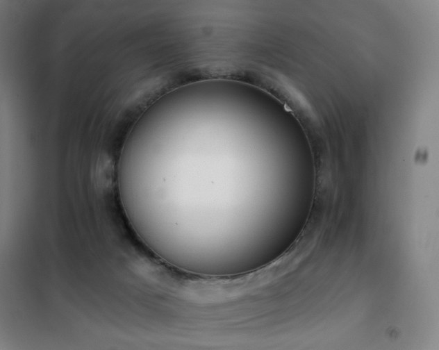 X0000102290025200807251432