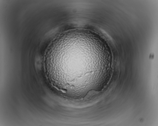 X0000102290026200807251432