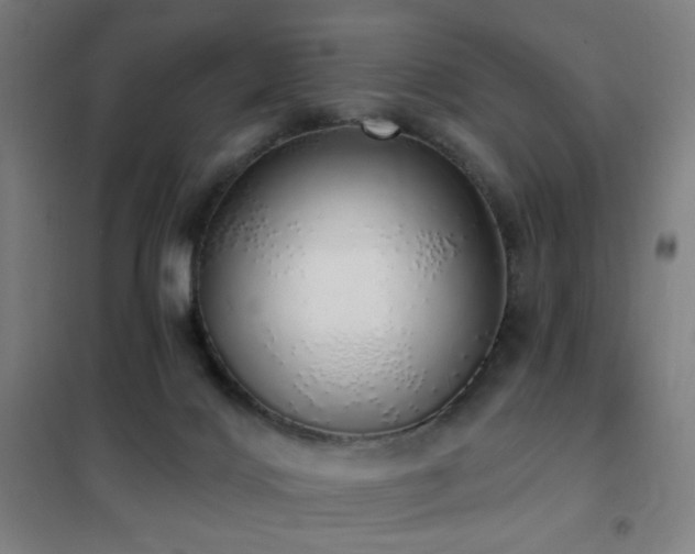 X0000102290028200807251432