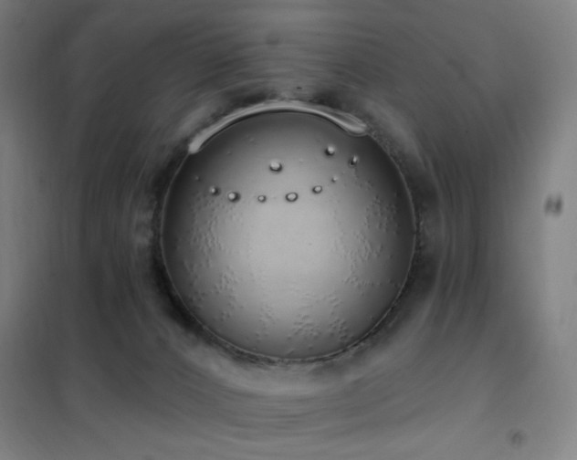 X0000102290032200807251432