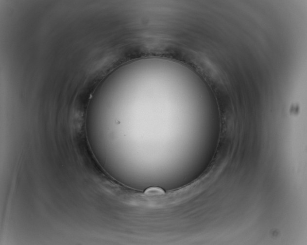 X0000102290033200807251432