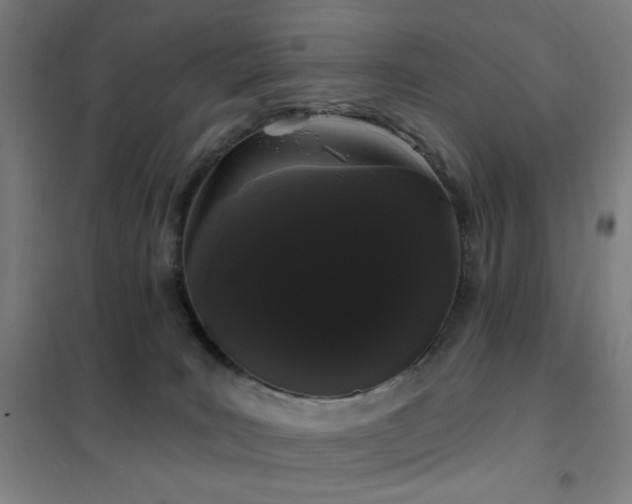 X0000102290035200807251432