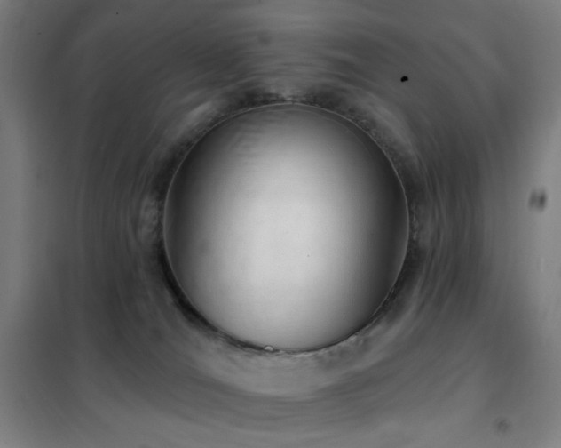 X0000102290036200807251432