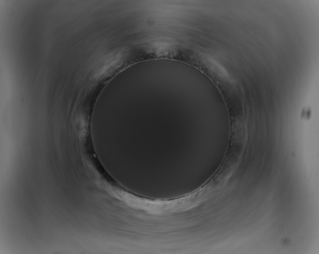 X0000102290039200807251432