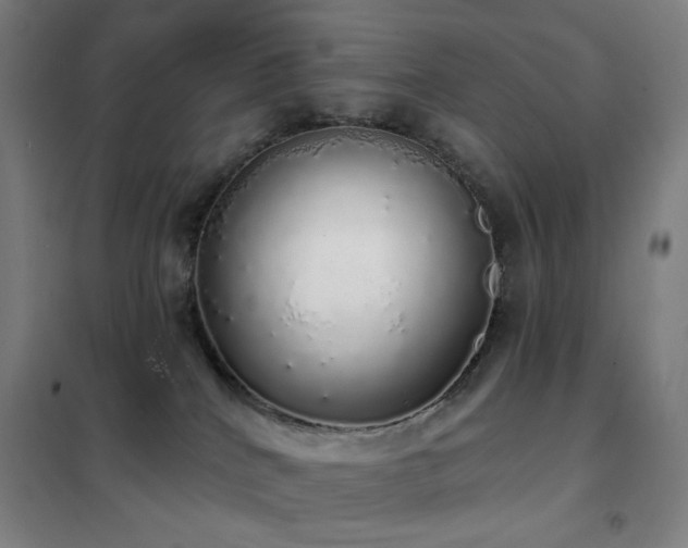 X0000102290040200807251432