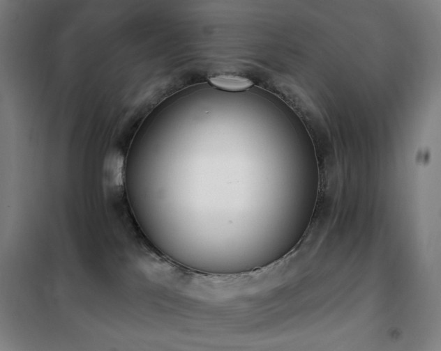 X0000102290041200807251432