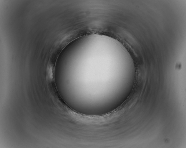 X0000102290042200807251432