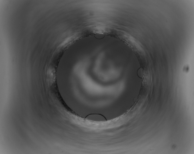 X0000102290043200807251432