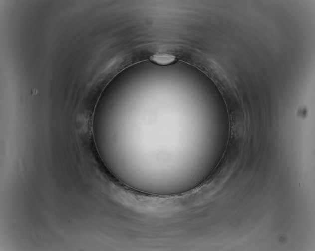 X0000102290044200807251432