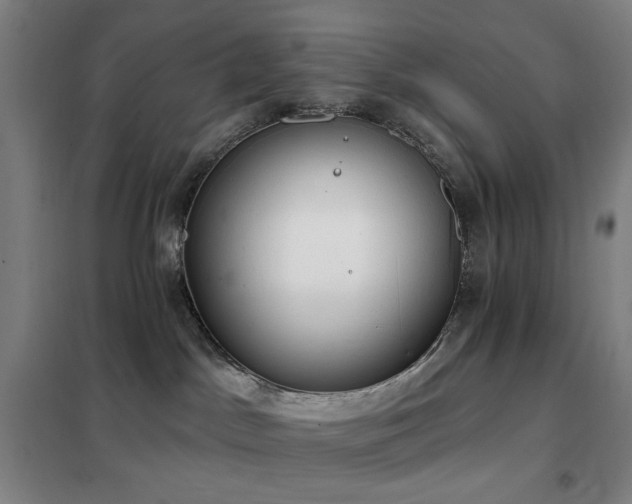 X0000102290045200807251432