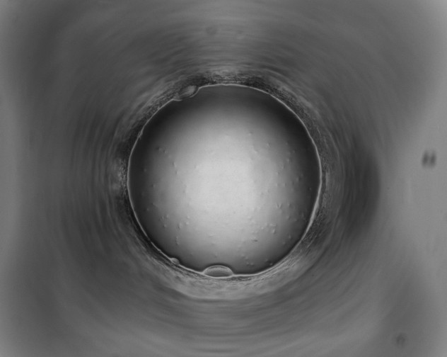 X0000102290048200807251432