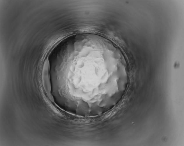 X0000102290049200807251431
